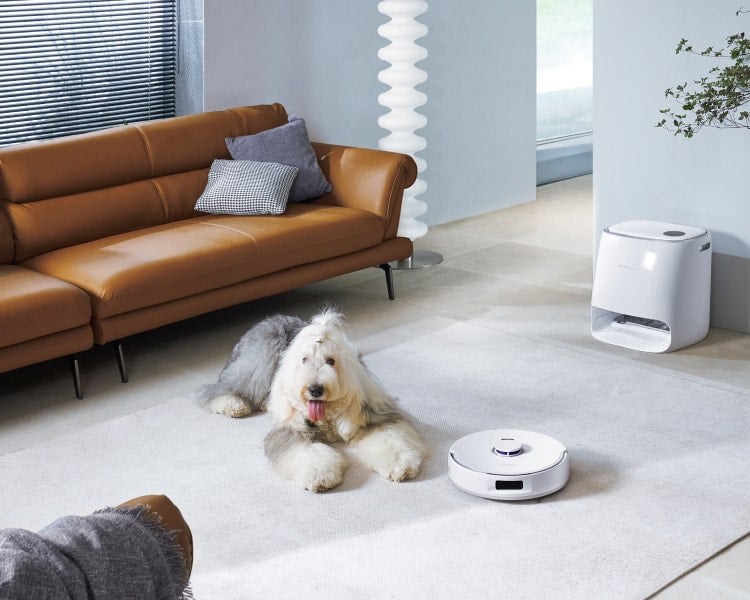 AX4_H5_c762cf4e-0684-4e0f-ba19-341f02577176